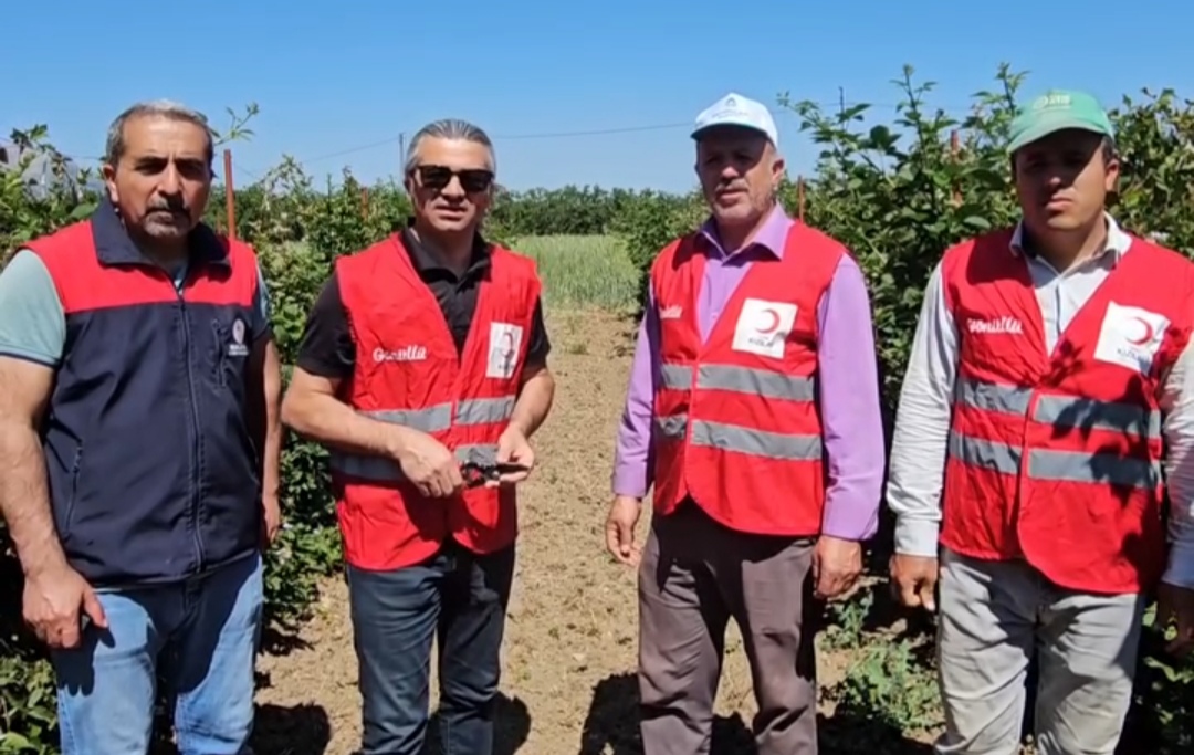 Kızılay’dan Malatya Çiftçisine Böğürtlen Desteği