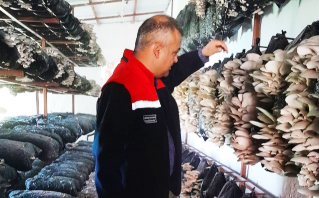 Malatya’da mantar üretim tesislerine sıkı denetim