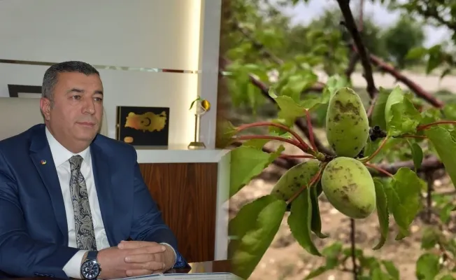 Kayısı Borsa Başkanı İsyan Etti