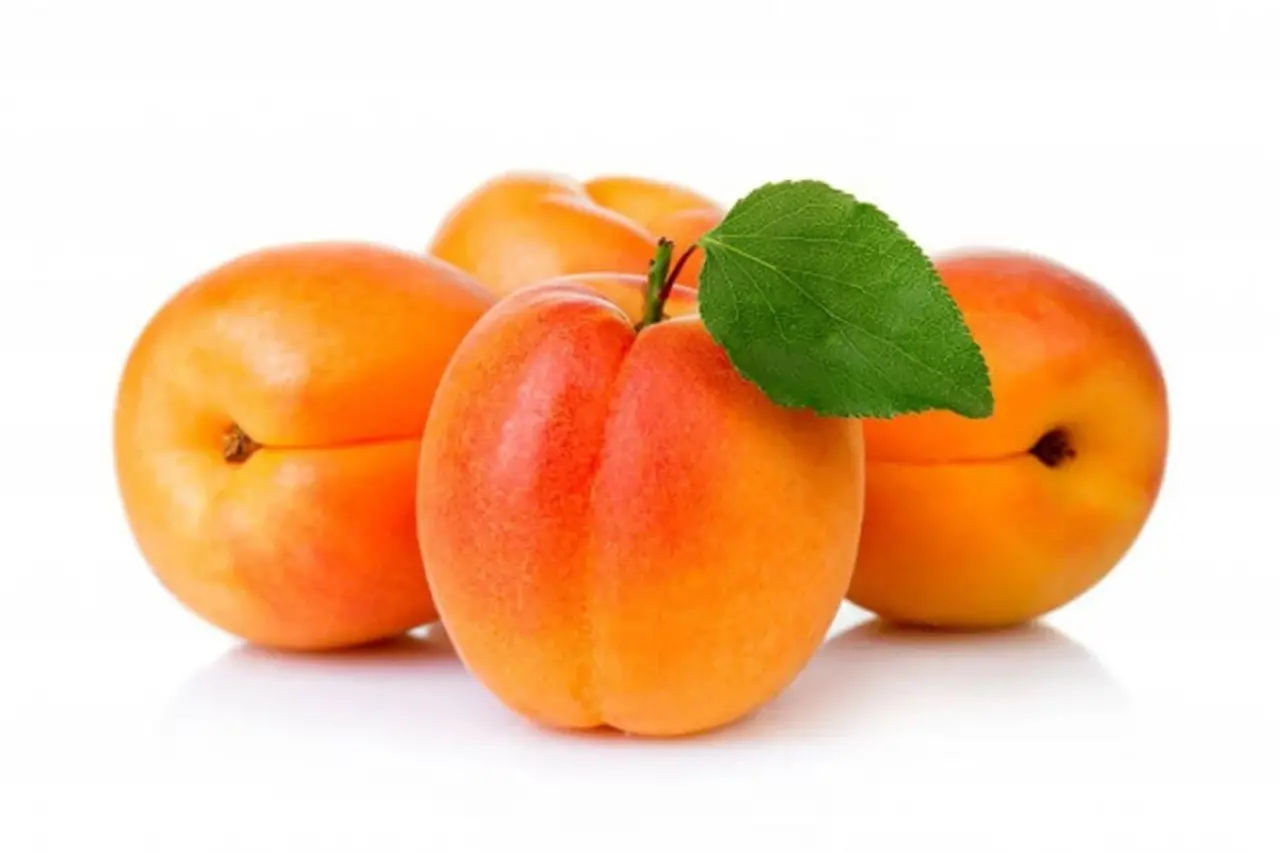 kayisimalatya.jpeg?revision=1751272964